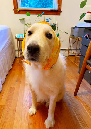 Tie Dye Bandanas